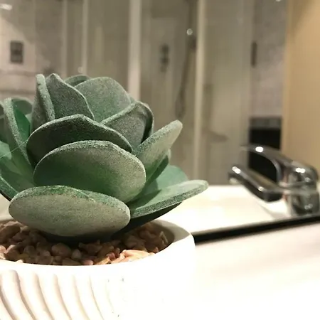 Nocleg ze śniadaniem Siesta