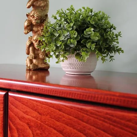 Siesta Nocleg ze śniadaniem